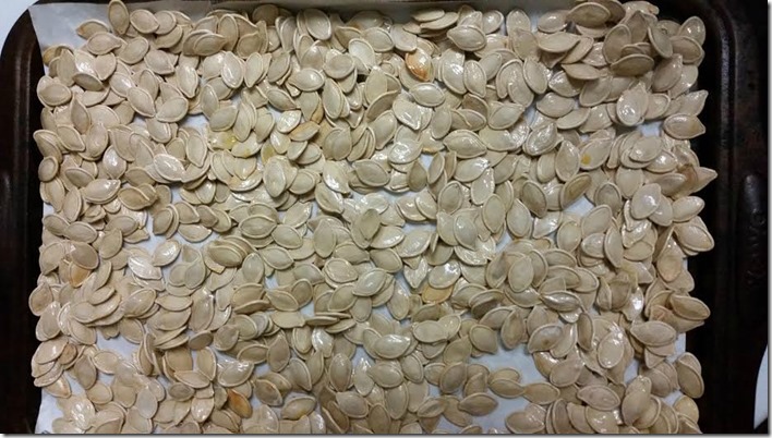 Pumpkin Seeds