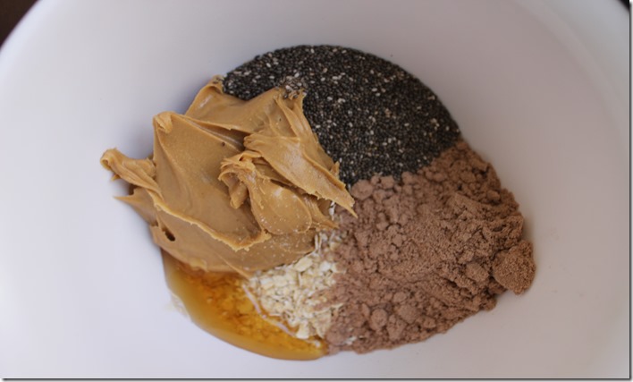 Chocolate Peanut Butter Protein Balls