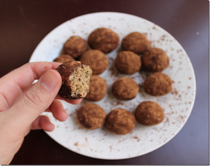 Chocolate Peanut Butter Protein Balls