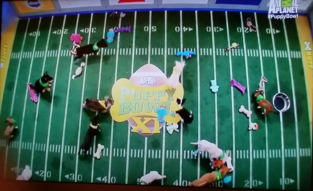 Puppy Bowl 2015