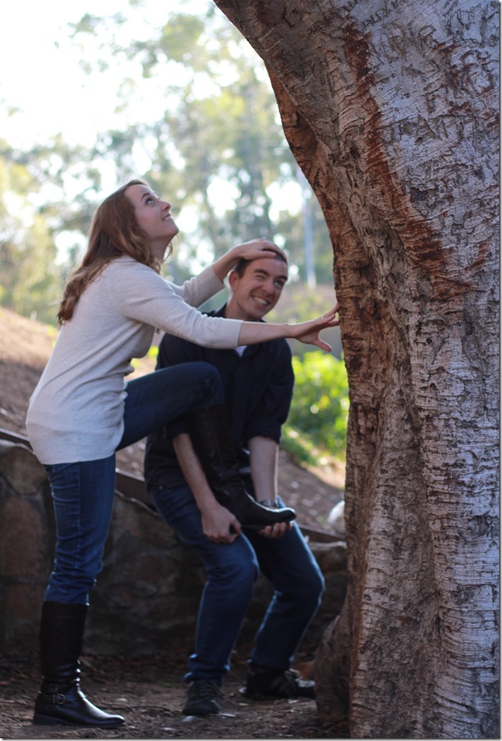 Engagement Pictures