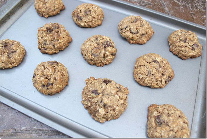 Chocolate Chip Oatmeal Cookies