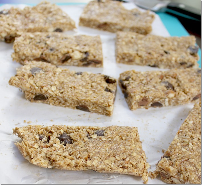 Coconut Chocolate Nut Granola Bars