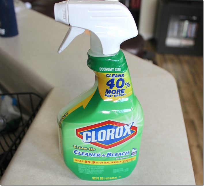 Clorox Cleaner Bleach