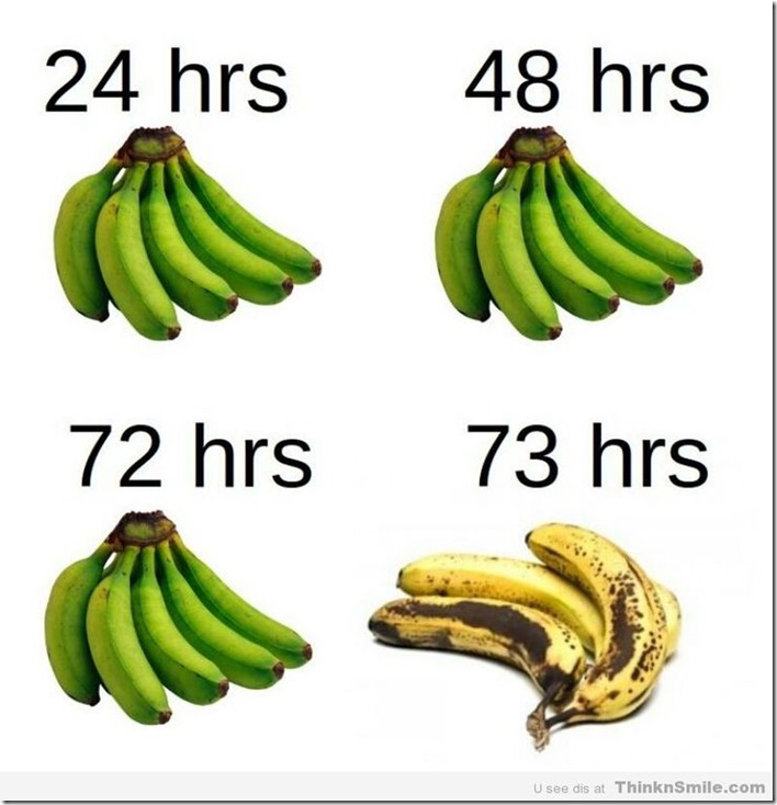 The Banana Window