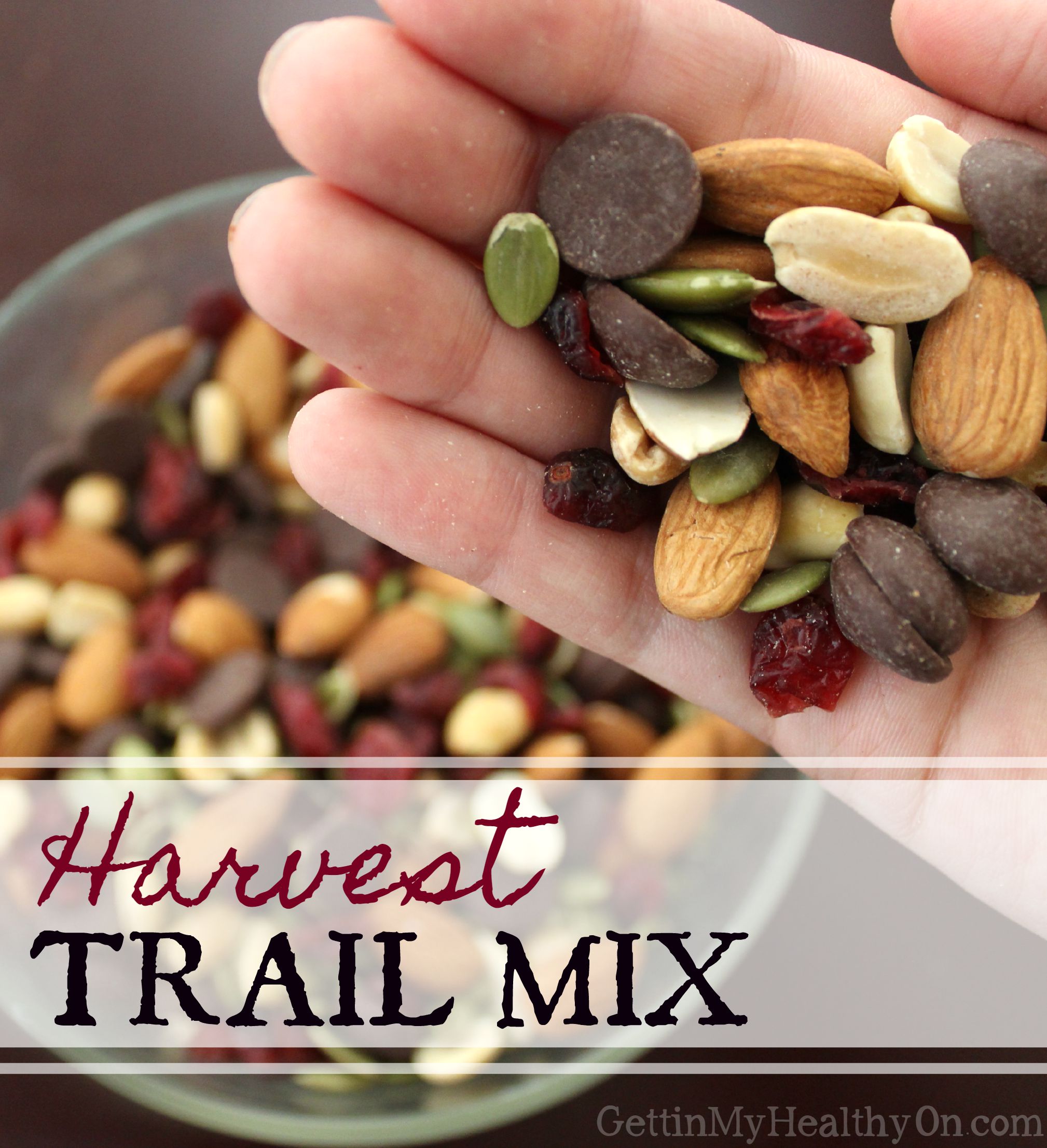 Harvest Trail Mix