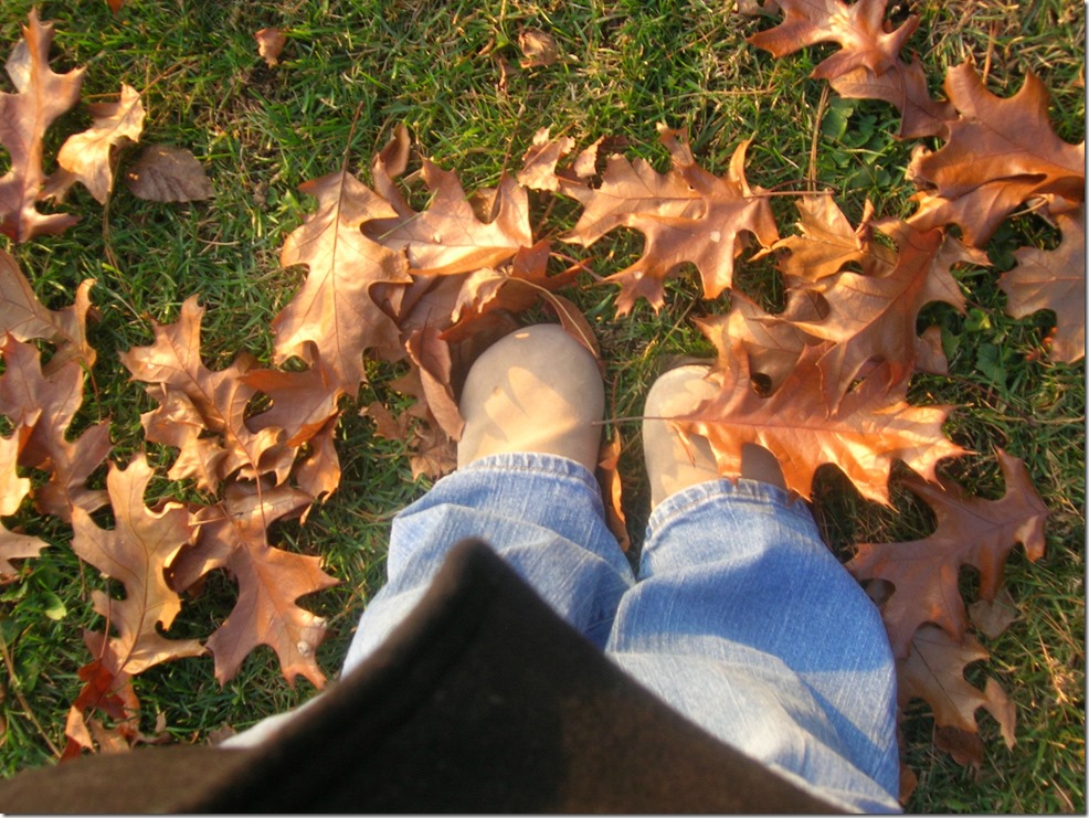 Crunchy Leaves