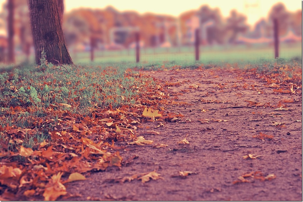 Fall Running Weather