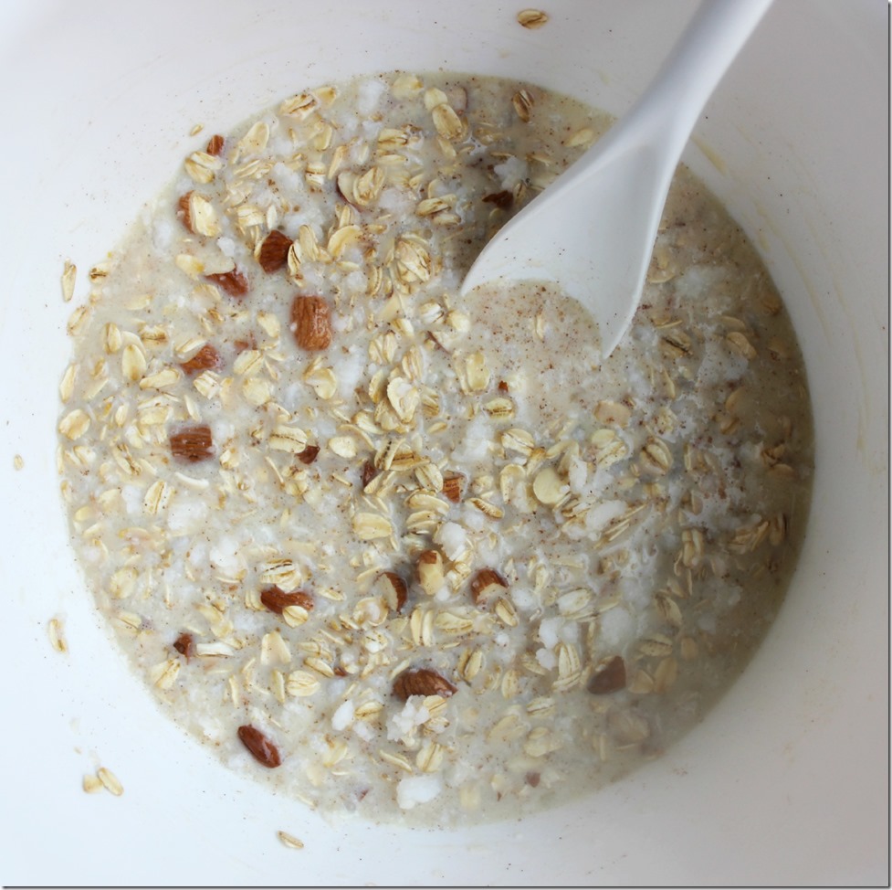 Coconut Almond Oatmeal