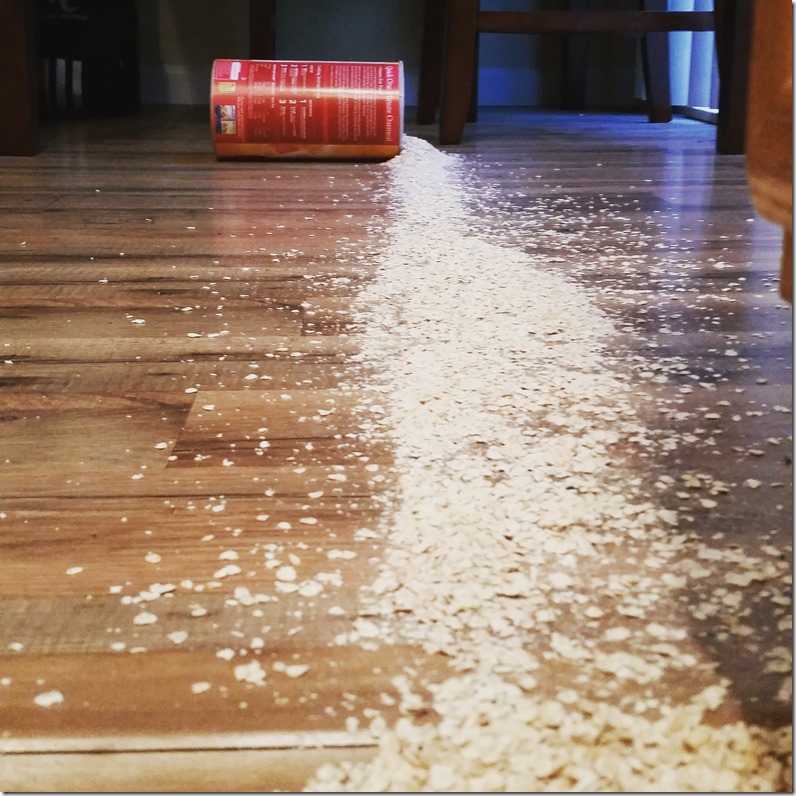 Oats all over the floor