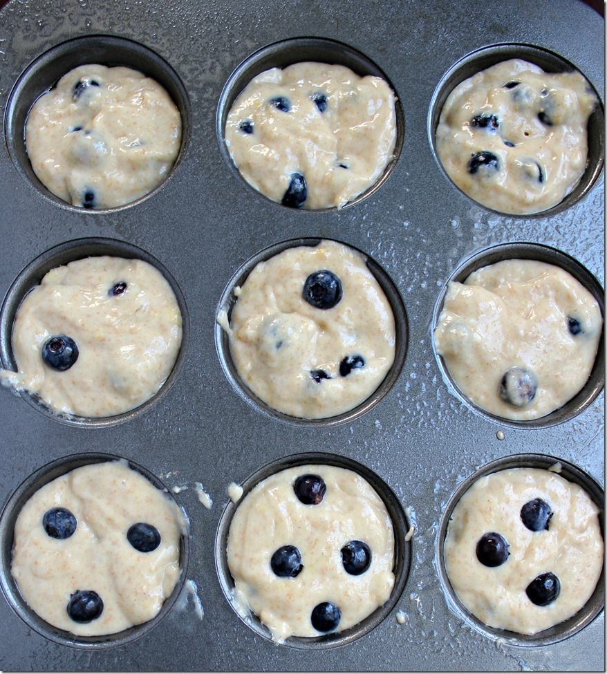 Blueberry Muffins