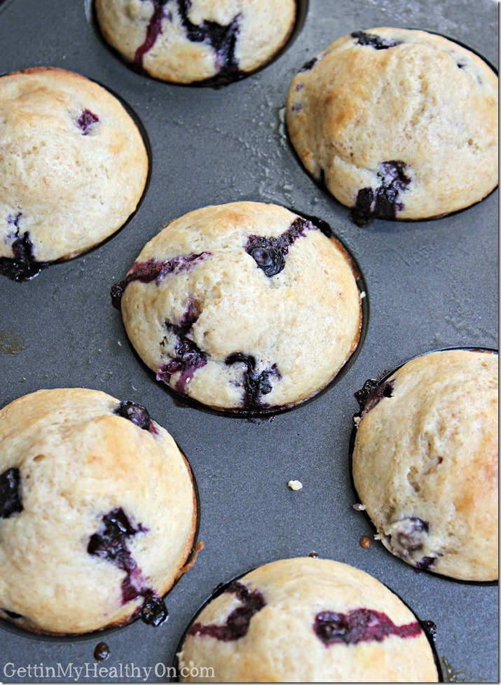 Greek Yogurt Blueberry Muffins