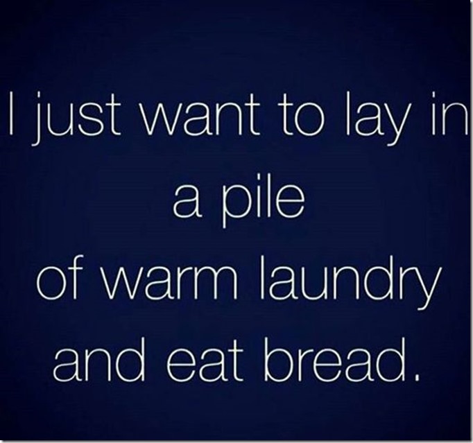 I just want to lay in a pile of warm laundry and eat bread.