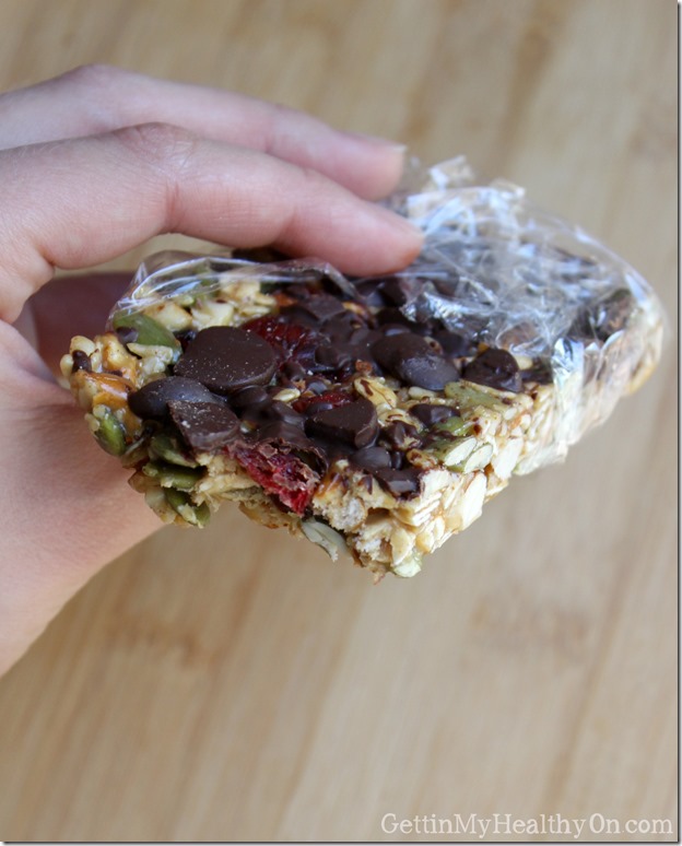 Cranberry Chocolate Nut Granola Bars