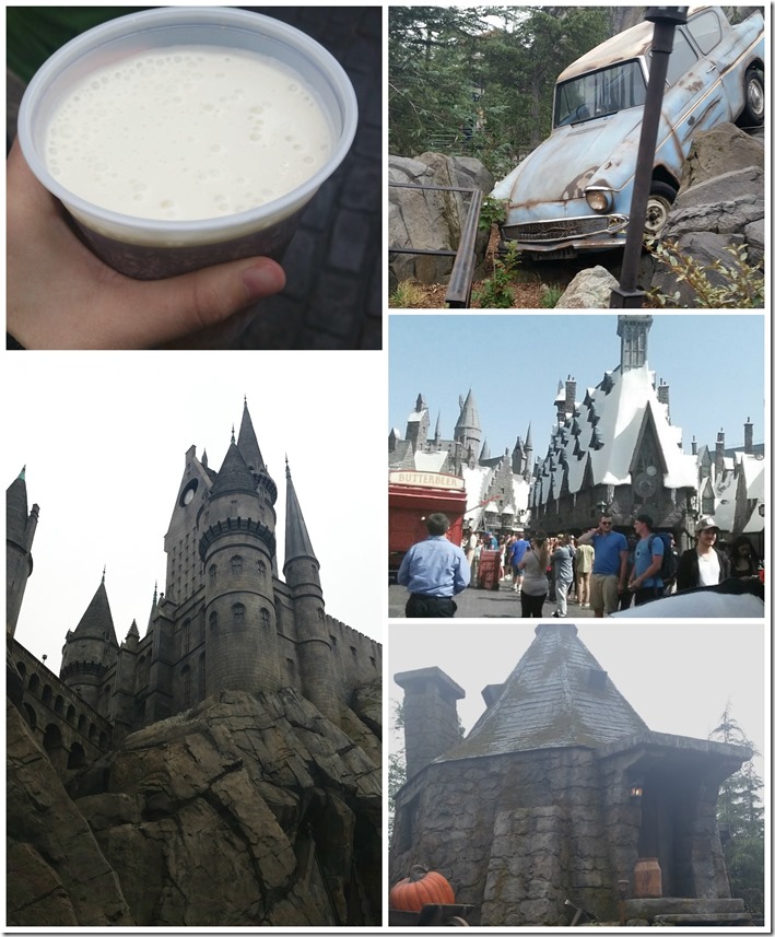 Harry Potter World