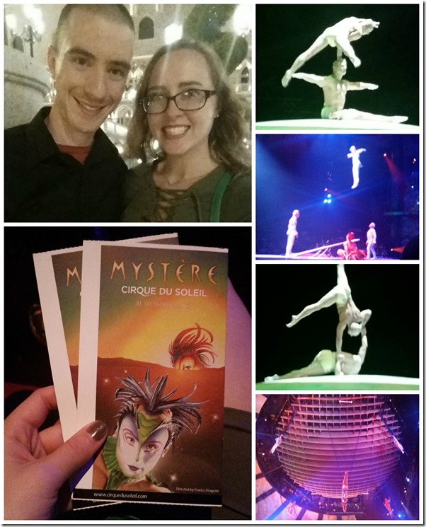 Cirque du Soleil Mystere