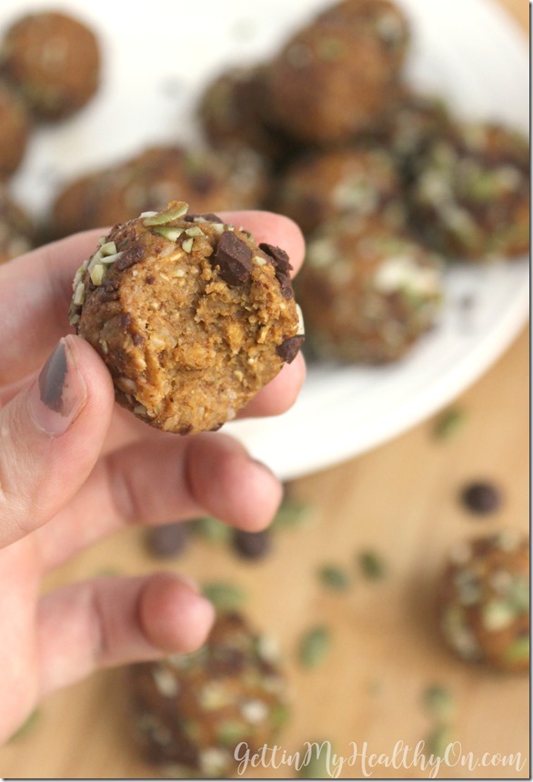 Pumpkin Protein Balls with Chocolate Chips