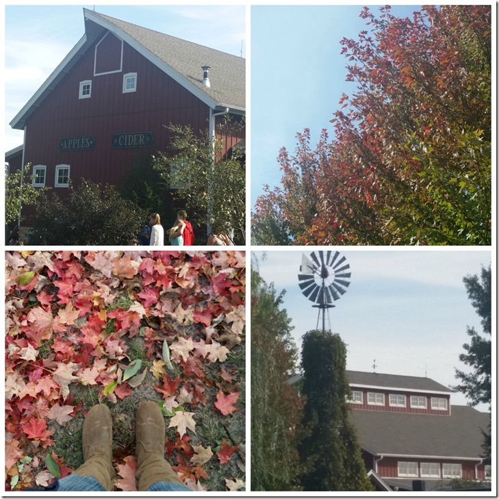 Apple Orchards