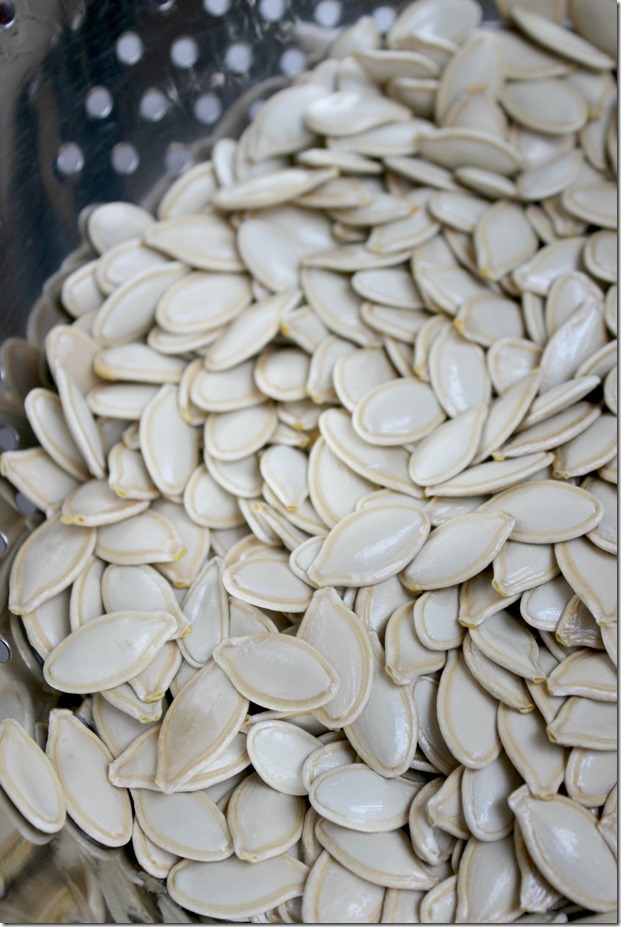 Pumpkin Seeds