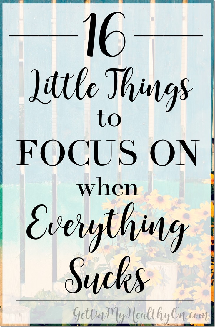 Little Things to Focus on When Everything Sucks