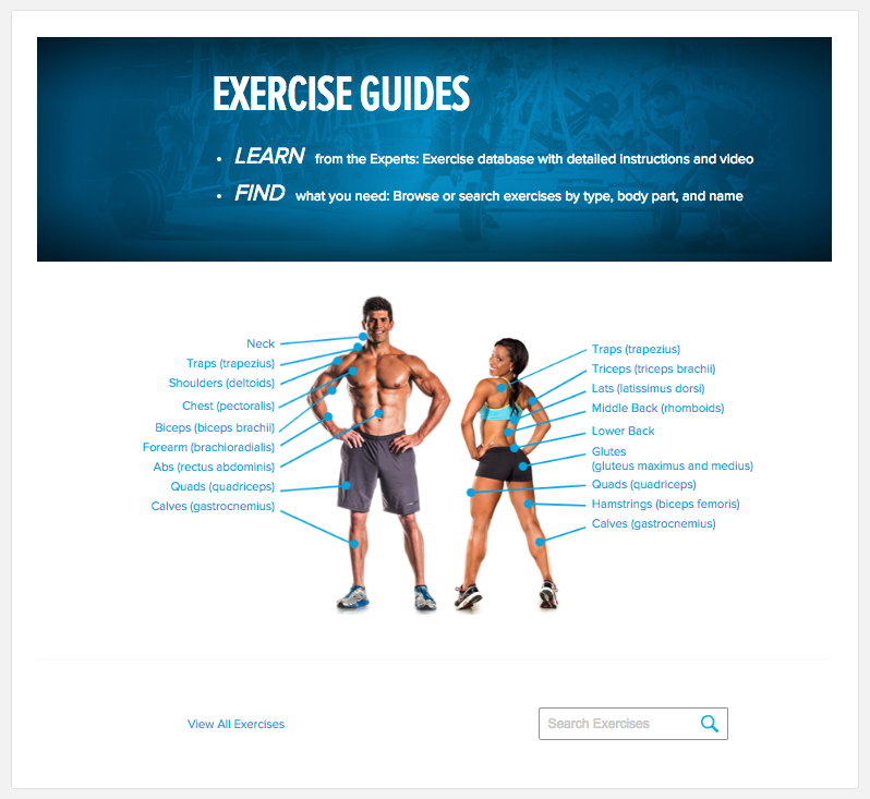 Bodybuilding.com Exercise Database