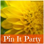 Pin It Party – 5 Posts Worthy of Pinning