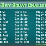 Squat Challenge + 500-Rep Weight Circuit