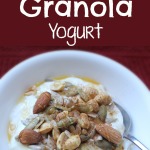 Deconstructed Granola Yogurt