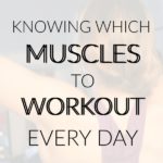 How to Know Which Muscles to Workout Each Day