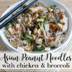 Asian Peanut Noodles with Chicken and Broccoli